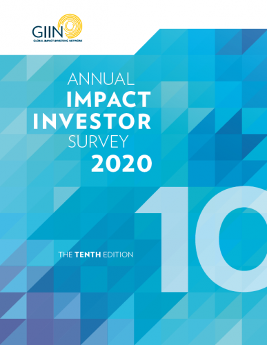 2020 Annual Investor Survey (10th edition)