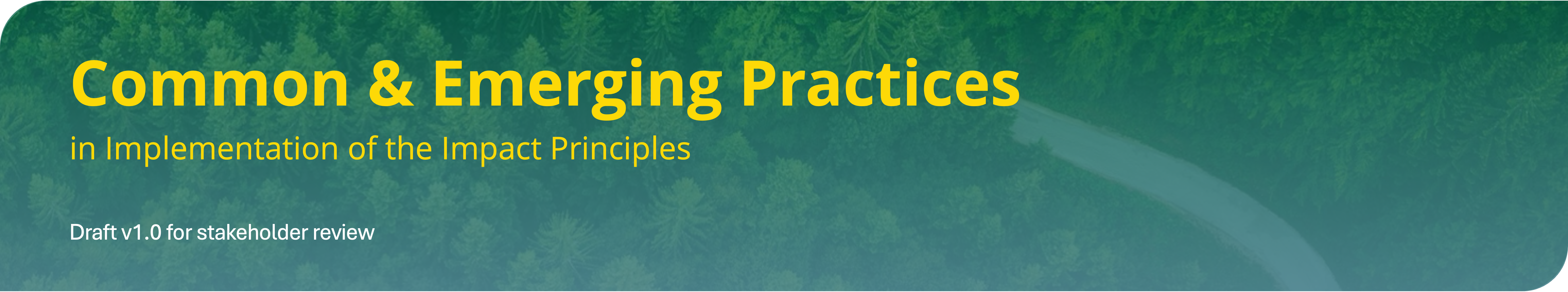 Common & Emerging Practices Header