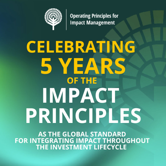 Impact Principles Graphic